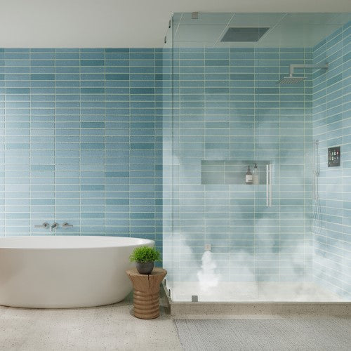 ThermaSol TWPH10US – Total Wellness Steam Shower Package (Square Style)